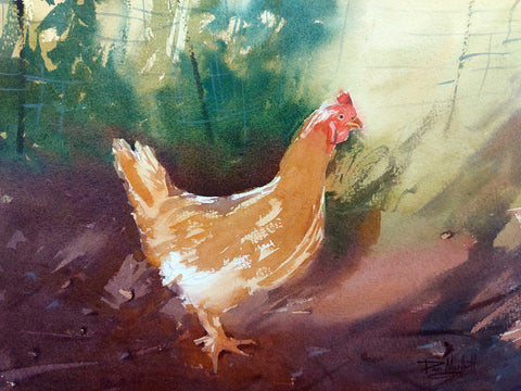 Chicken Study