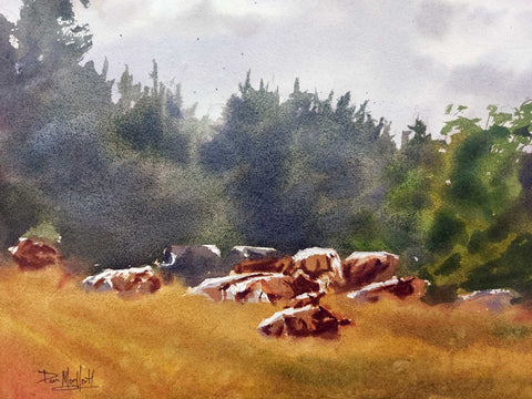 Cows 2