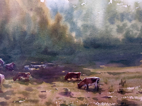 Cows