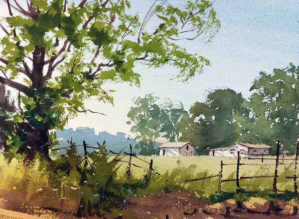 Summer In The Country