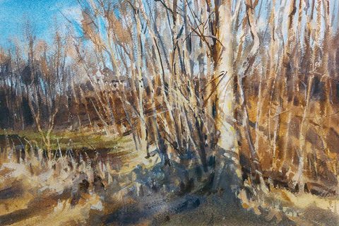 November Woods