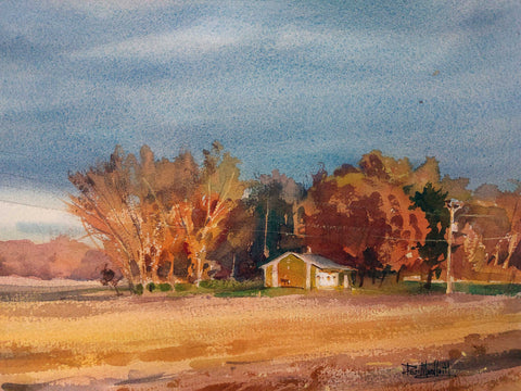 Fall Colors