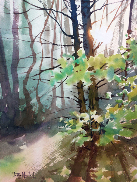 Forest Light