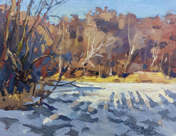 Illuminated Shoreline