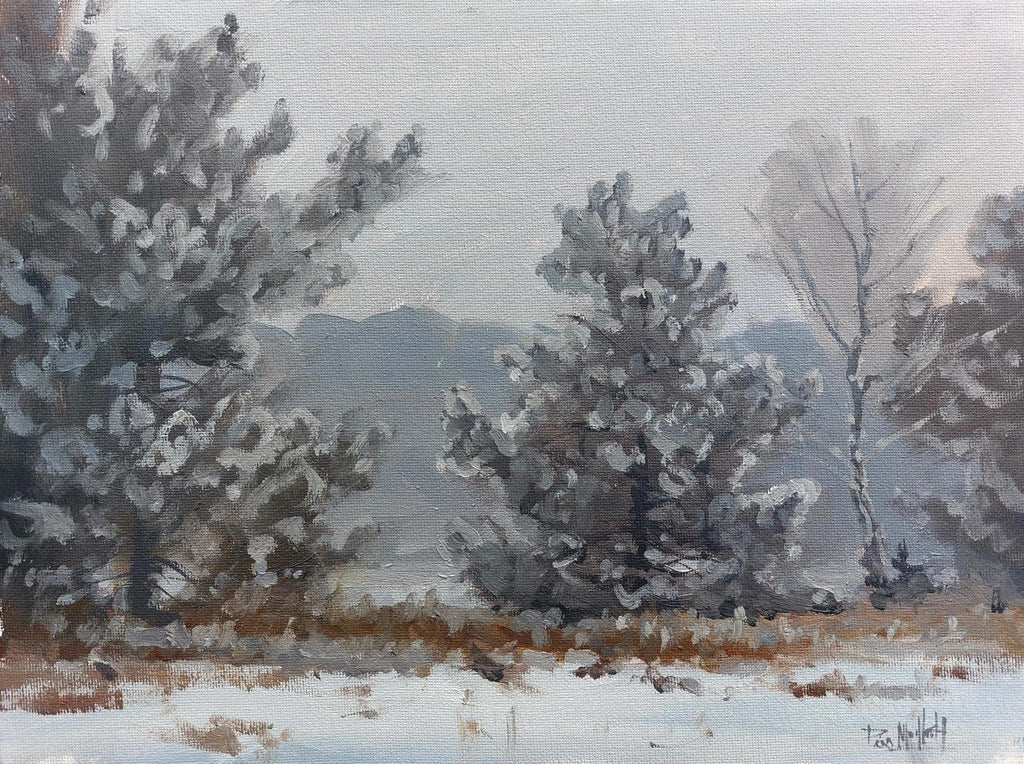 Frosty Start