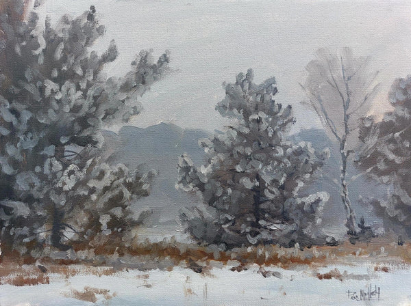 Frosty Start