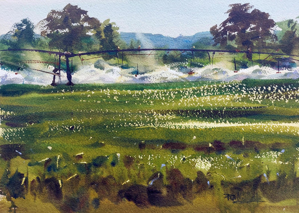 Sunlit Irrigation