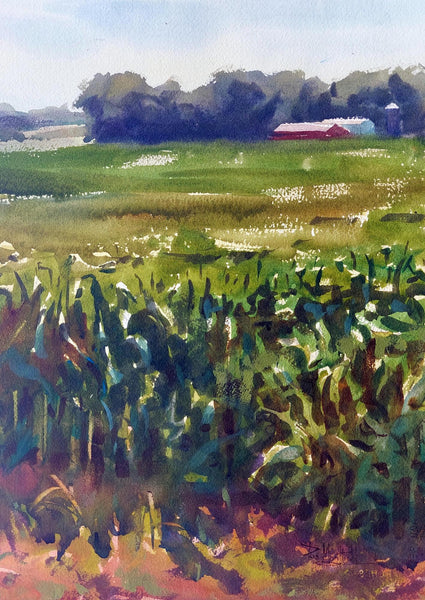 Midwest Summer