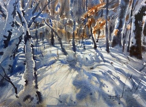 Sunlit Snow