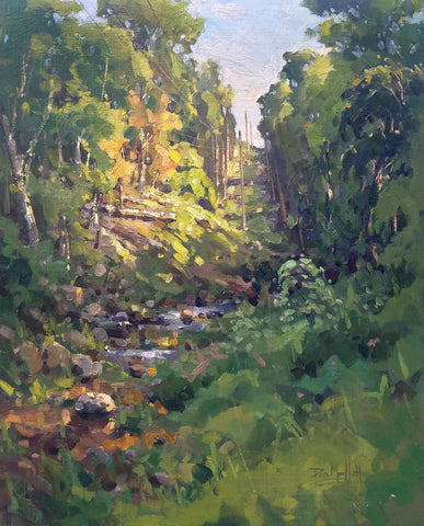 Morning Light