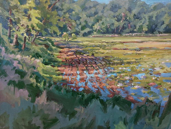 Lakeside View