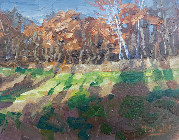 Fall Shadows