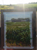 Knee High 4th of July