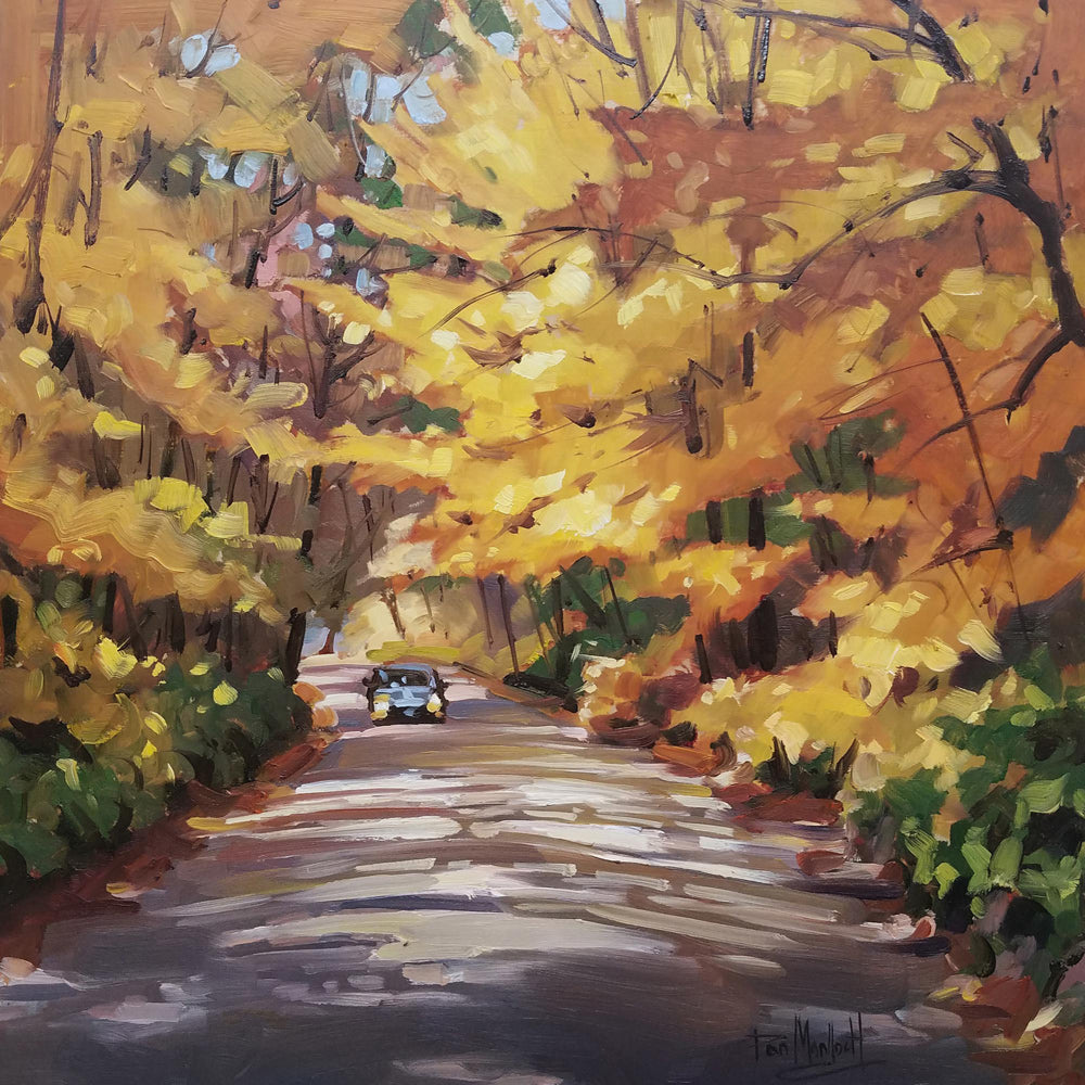 Schumann Lake RD (Tunnel Road, Lover's Lane)