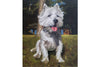 Paint My Pet-Dog Portrait 15% donated to Tri-County Humane Society