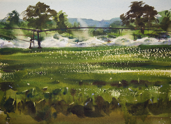 Crop Irrigation