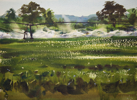 Crop Irrigation