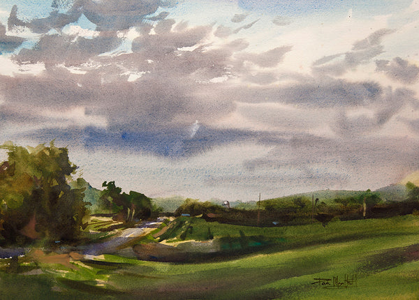 Summer Sunset