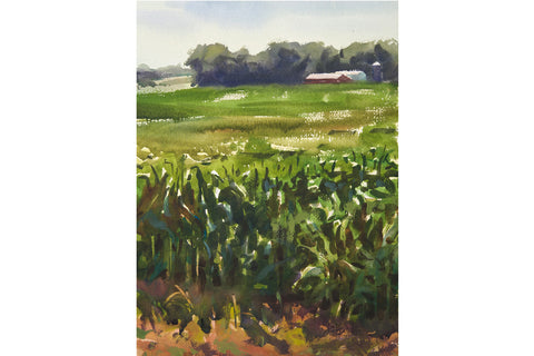 Knee High 4th of July